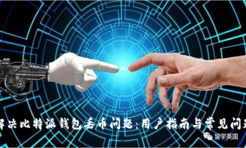 如何解决比特派钱包丢币问题：用户指南与常见问题解答