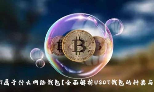 :
USDT属于什么网络钱包？全面解析USDT钱包的种类与选择