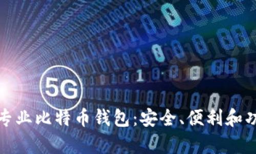 选择最佳的专业比特币钱包：安全、便利和功能性全解析