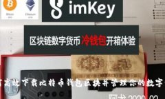 如何高效下载比特币钱包