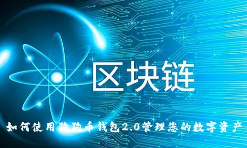 如何使用狗狗币钱包2.0管理您的数字资产