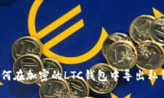 如何在加密的LTC钱包中导
