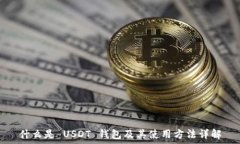   什么是 USDT 钱包及其使用
