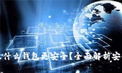 比特币放什么钱包更安全