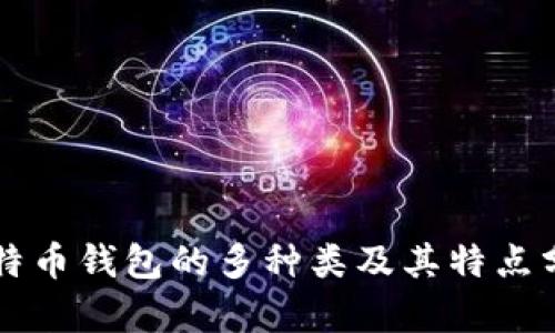 比特币钱包的多种类及其特点分析