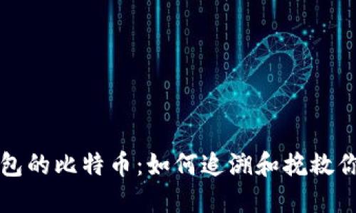 那些丢了钱包的比特币：如何追溯和挽救你的虚拟资产