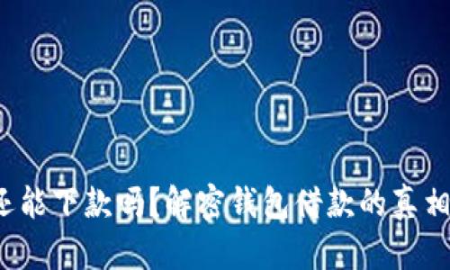  钱包还能下款吗？解密钱包借款的真相与前景