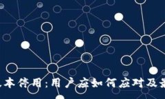 :TP钱包Pro版本停用：用户应如何应对及最佳替代