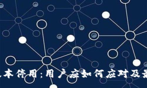 :
TP钱包Pro版本停用：用户应如何应对及最佳替代方案