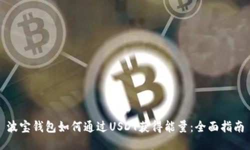 波宝钱包如何通过USDT获得能量：全面指南