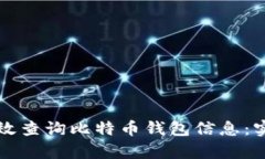 如何有效查询比特币钱包信息：实用指南